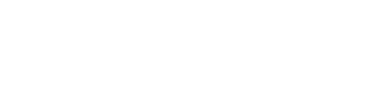 VanHack Logo White