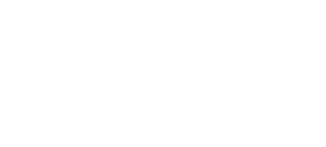 Pinpoint Logo White