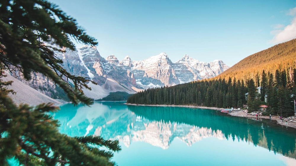 Payroll taxes in Canada: An employer’s guide hero image