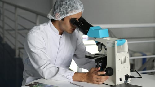 State R&D tax credits in the US: What your business needs to know hero image