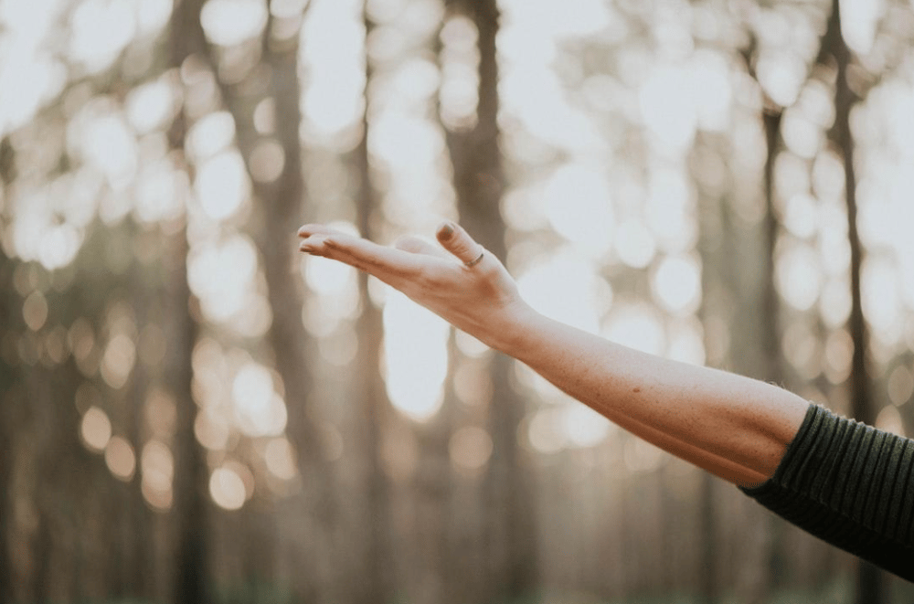 image - Guide To Remote Employee Wellness Programs