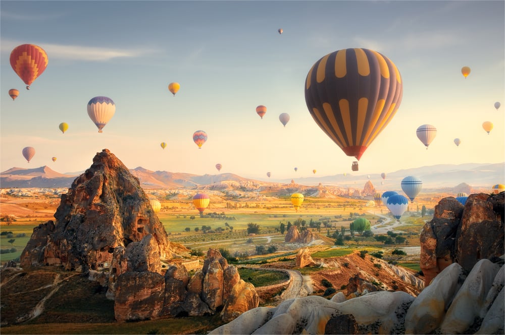 turkey (1)