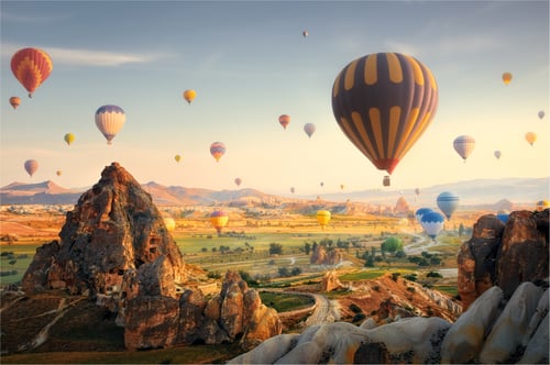 turkey (1)