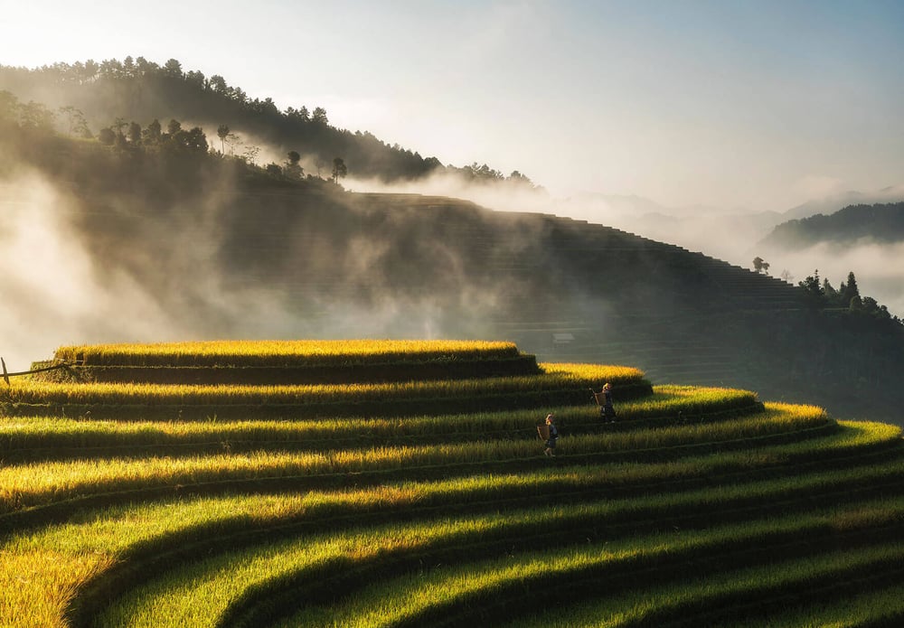 vietnam