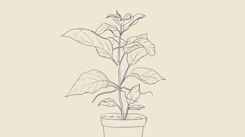 Minimalist growing plant illustration.png