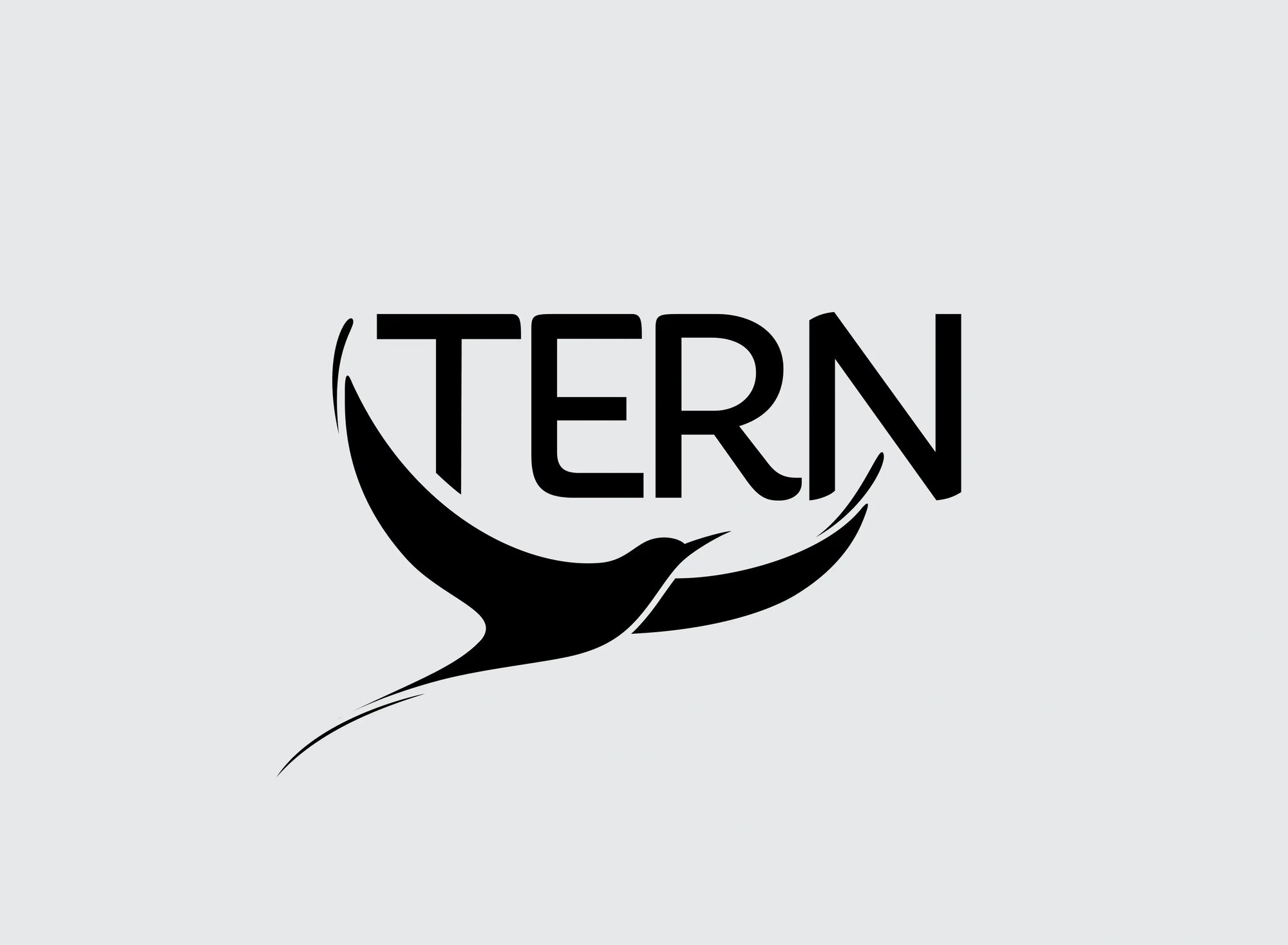 tern-card-logo@2x