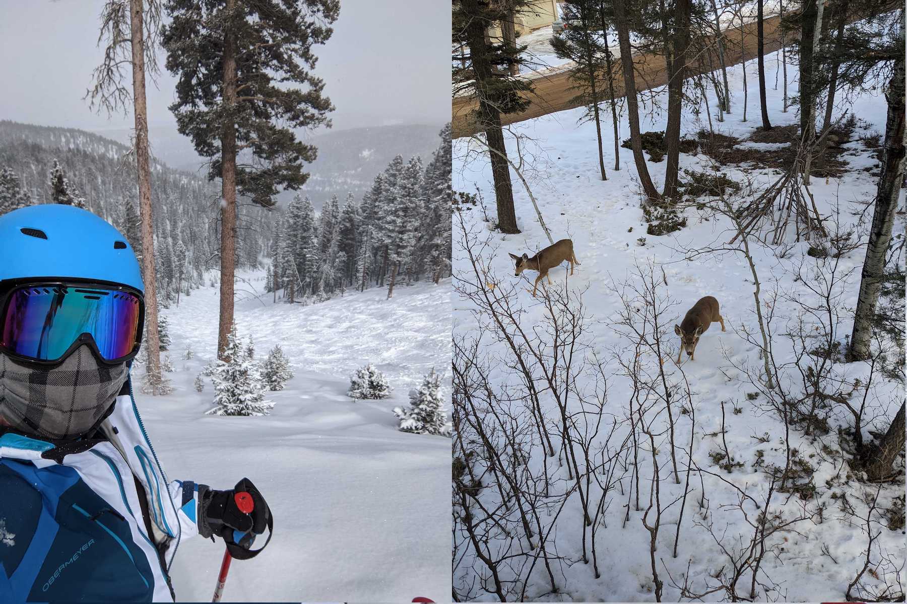 man skiing with blue helmet and deer